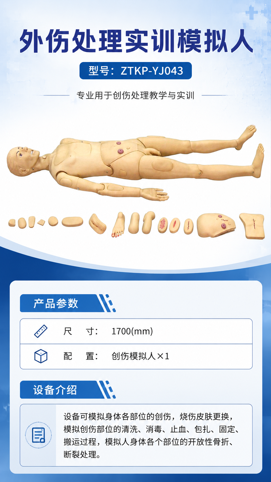 外伤处理实训模拟人详情图 1